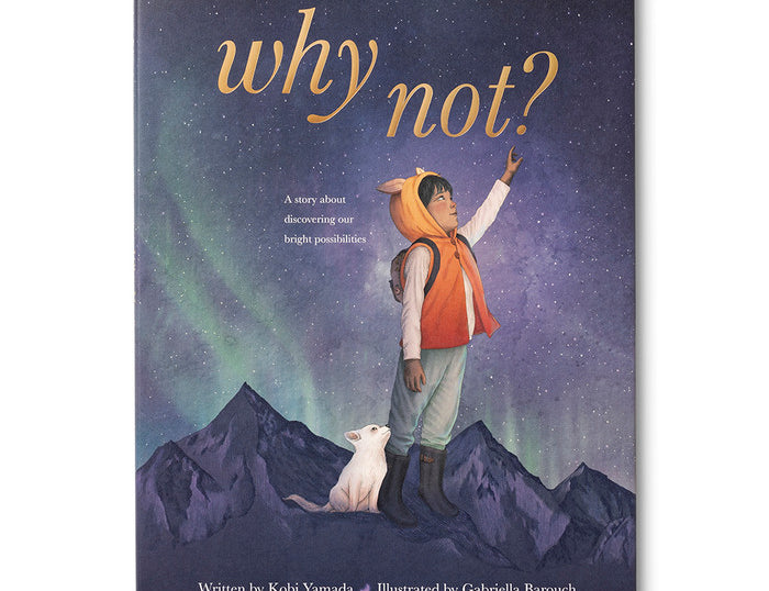Compendium Why Not book cover, a child and a fox on a mountain under the northern lights