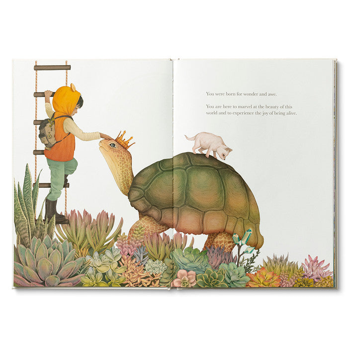 Compendium Why Not book open to a child climbing a ladder beside a giant tortoise