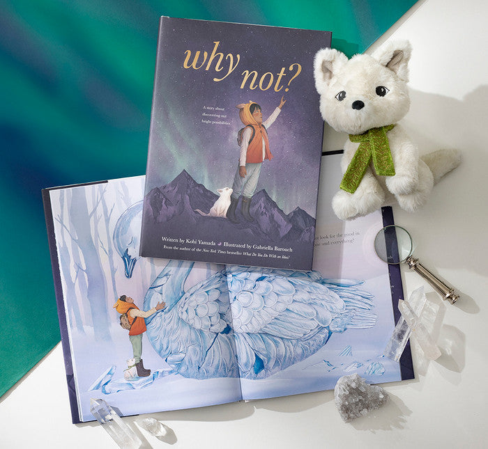 Compendium Why Not book on an aurora backdrop with a plush arctic fox and an open copy