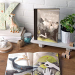 Compendium You Belong Here book styled on a shelf with a giraffe toy