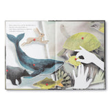 Compendium You Belong Here book open to a whale, turtle and hands illustration