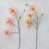 Creative Co-Op Faux Poppy Flowers in peach laid on a plaster surface