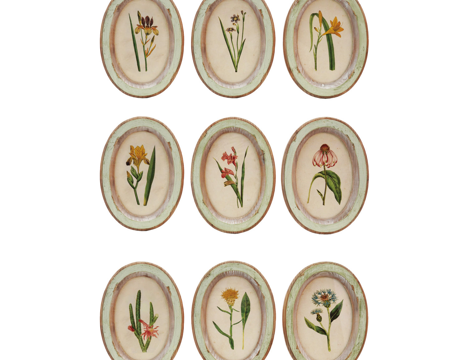 Creative Co-Op Flower Wood Frames, nine small oval frames with vintage botanical prints