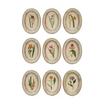 Creative Co-Op Flower Wood Frames, nine small oval frames with vintage botanical prints