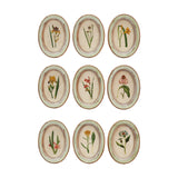 Creative Co-Op Flower Wood Frames, nine small oval frames with vintage botanical prints