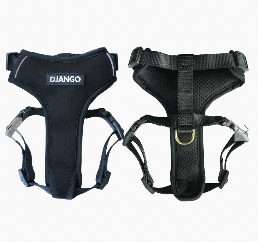 Django Adventure Dog Harness in black, front and back view of the padded harness with D-ring