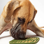 Great Dane licking peanut butter from the DOG by Dr Lisa DOG Lick Mat in Khaki