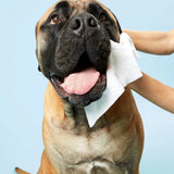 Large tan dog having its face wiped with a DOG by Dr Lisa Dog Wipe