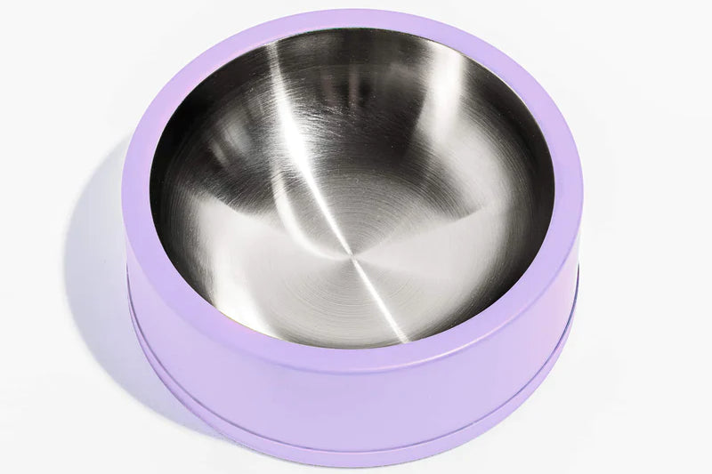 Dog Bowl
