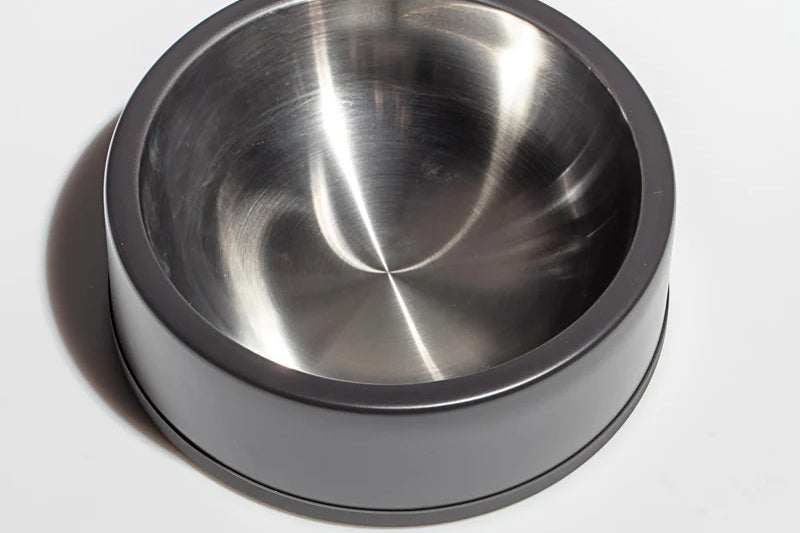 Dog Bowl