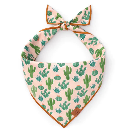 Foggy Dog Dog Bandana in Desert Cactus, a blush pink tie-on bandana with a green cactus print
