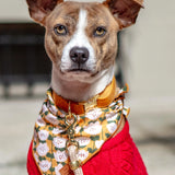 Brindle dog in a red sweater wearing the Foggy Dog Dog Bandana in Golden Flowers