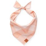 Foggy Dog Dog Bandana in Sorbet Gingham, a peach and white checked tie-on bandana