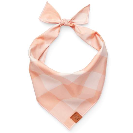 Foggy Dog Dog Bandana in Sorbet Gingham, a peach and white checked tie-on bandana
