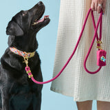 Black lab on a hot pink Foggy Dog leash with a floral poop bag holder