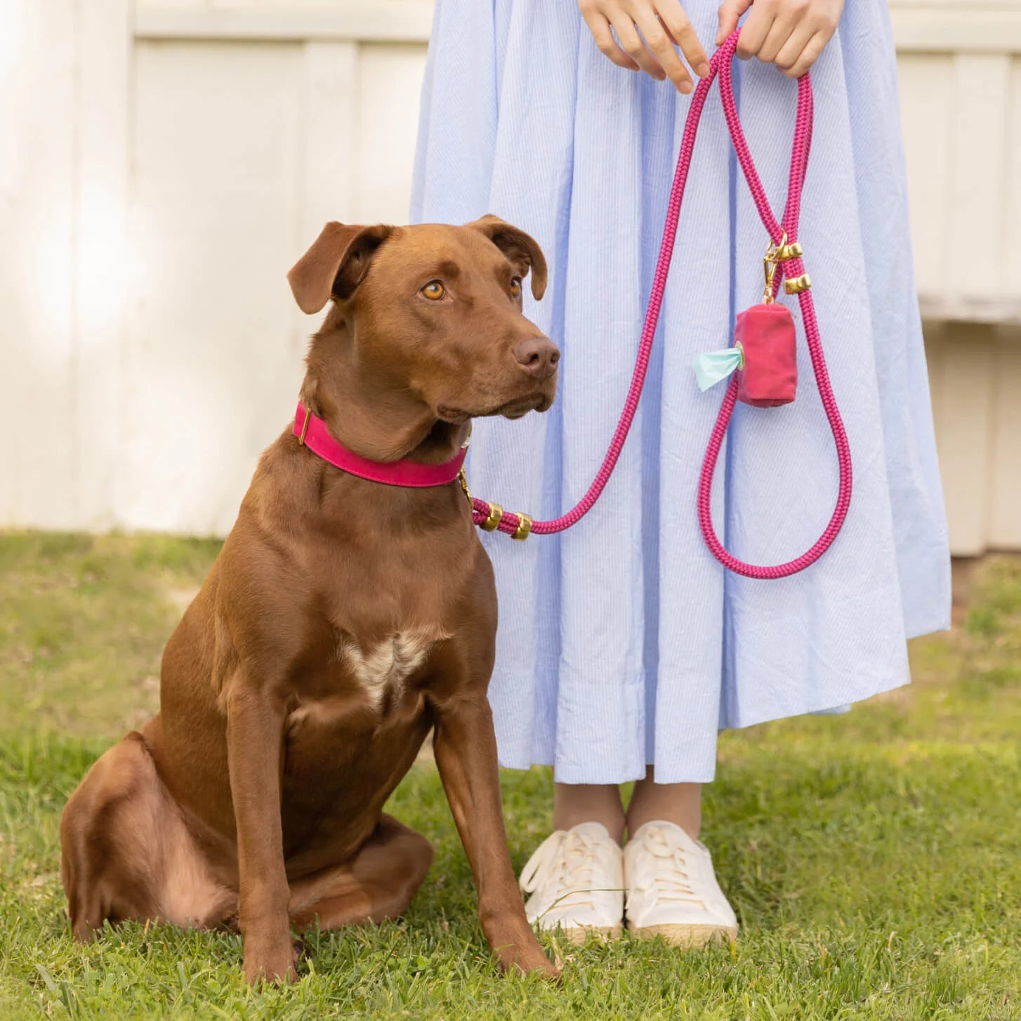 Brown dog on a lawn beside a woman holding a hot pink Foggy Dog leash with a poop bag holder