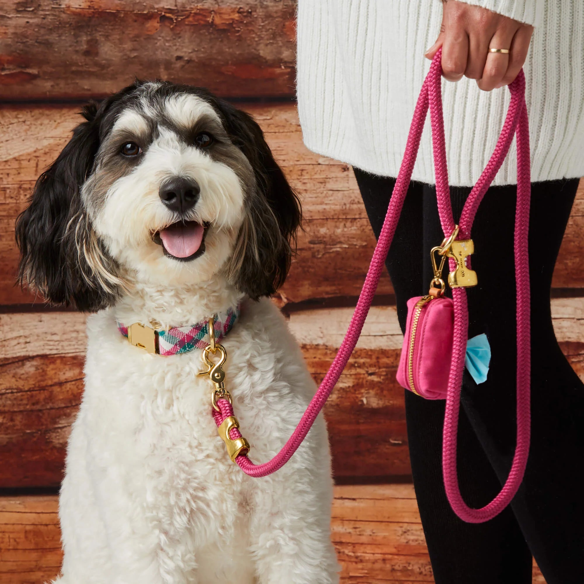 Fluffy black and white dog on a hot pink Foggy Dog leash with a matching poop bag holder