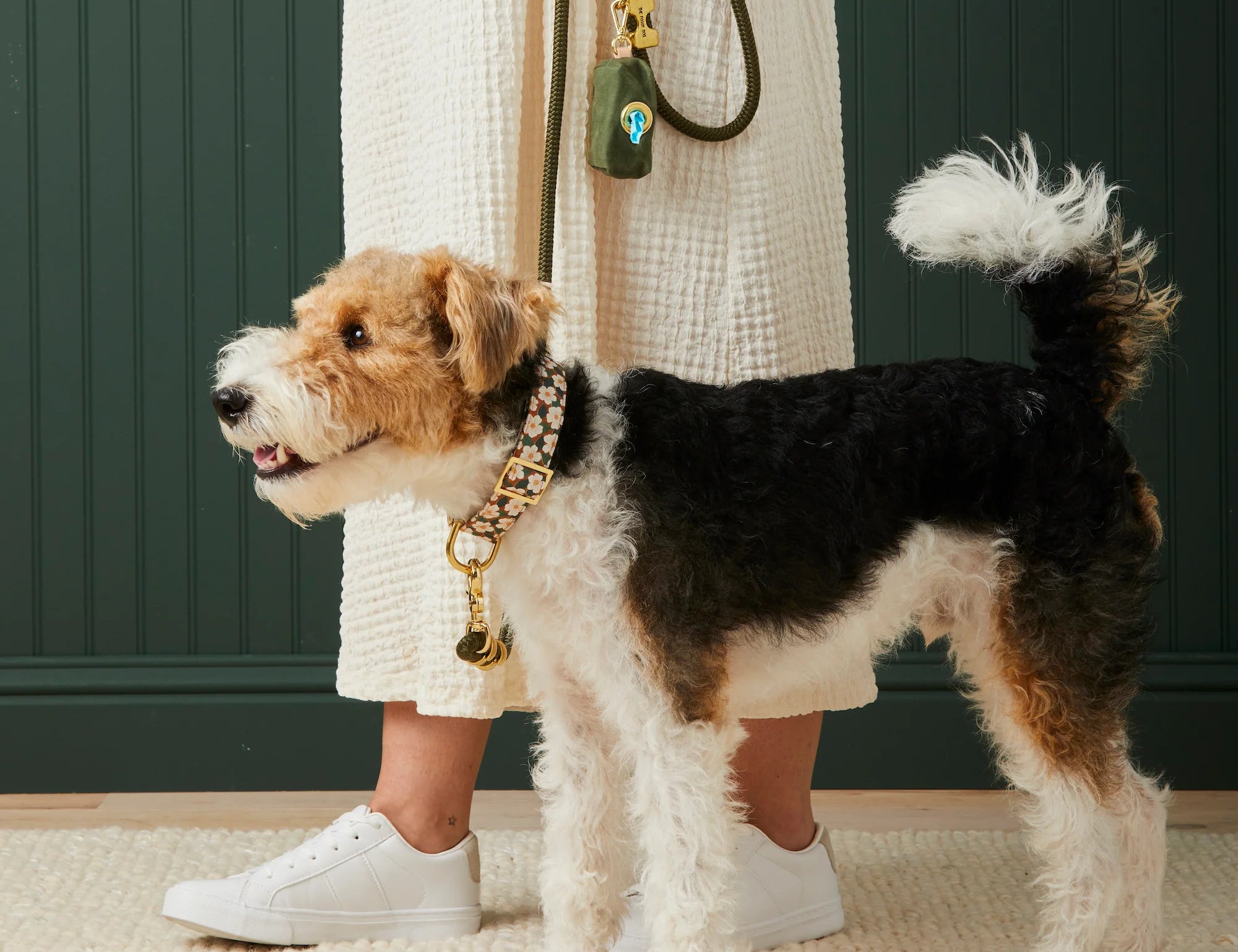 Wire-haired terrier on an olive Foggy Dog leash with a matching poop bag holder