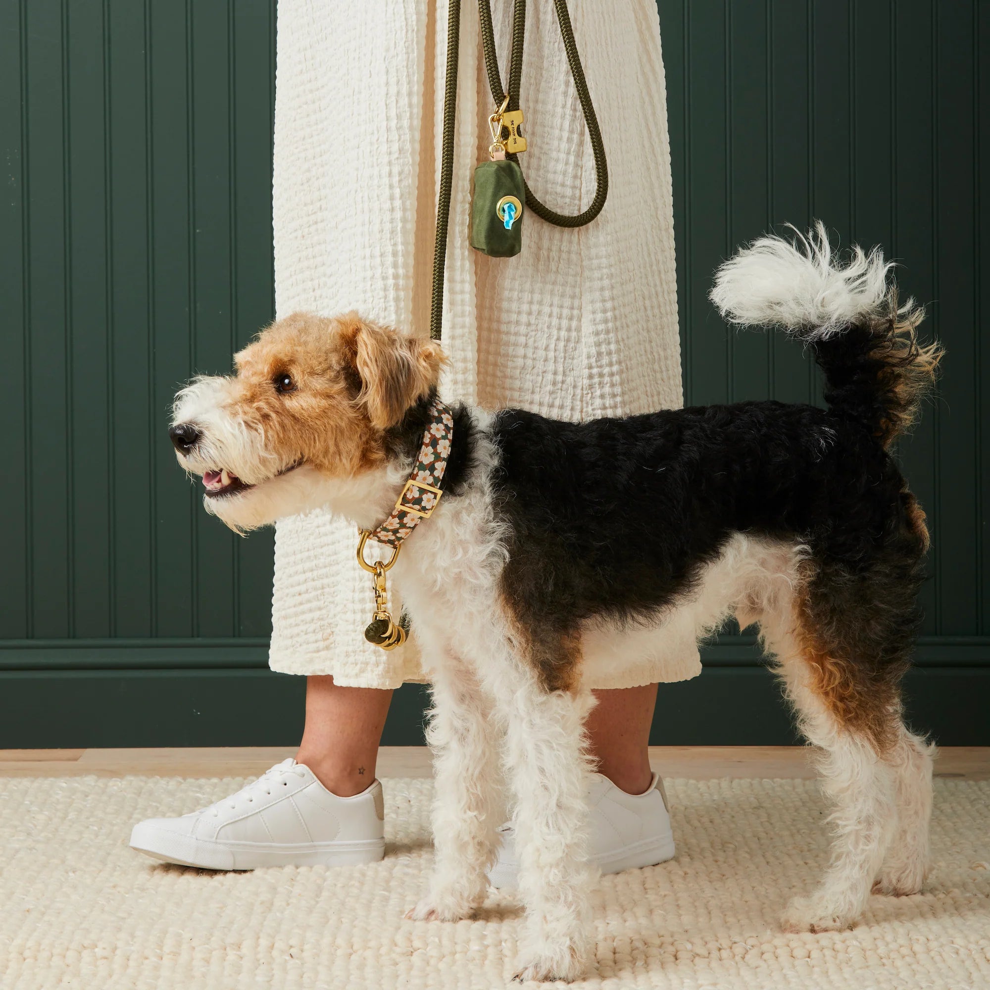 Wire-haired terrier on an olive Foggy Dog leash with a matching poop bag holder