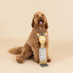 Goldendoodle sitting beside the Fringe Studio High There giraffe canvas dog toy
