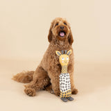 Goldendoodle sitting beside the Fringe Studio High There giraffe canvas dog toy