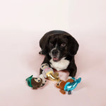 Black and white spaniel lying with the Fringe Studio Mersloth plush dog toys on a pink background