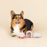 Fringe Studio Rain or Shine Mini Dog Toy Set with a corgi lying beside the rainbow, sun and cloud toys on a cream background
