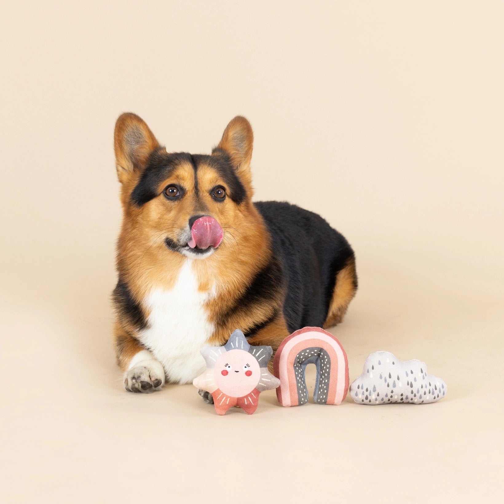 Fringe Studio Rain or Shine Mini Dog Toy Set with a corgi lying beside the rainbow, sun and cloud toys on a cream background