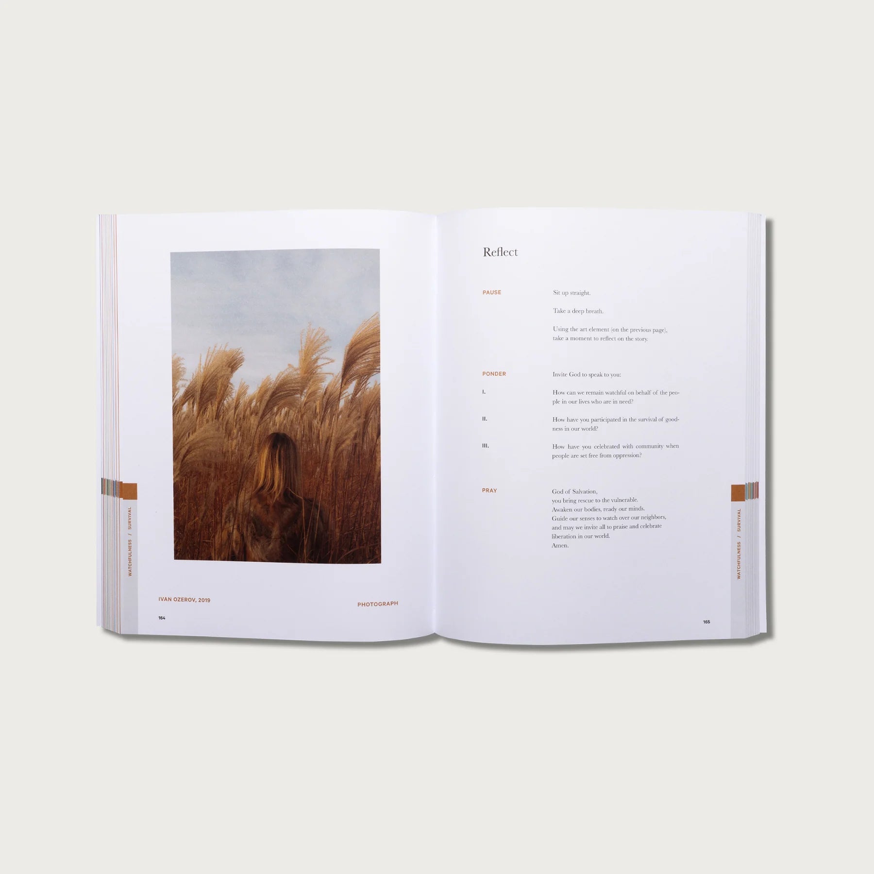 The Good and Beautiful Bible Study Volume 1 open to a Reflect page with a photo of golden grass