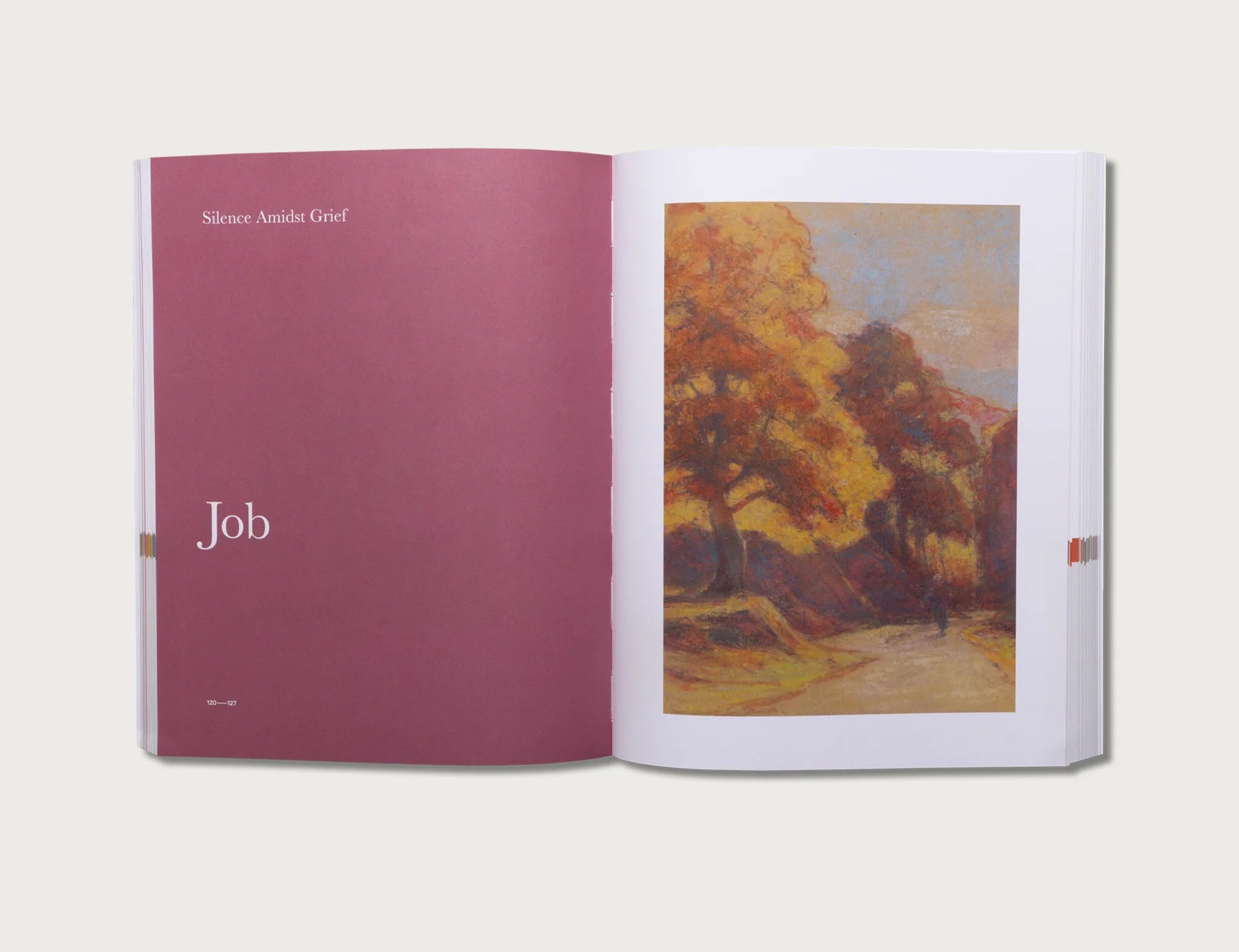 The Good and Beautiful Bible Study Volume 2 open to the Job chapter with a burgundy page and landscape painting