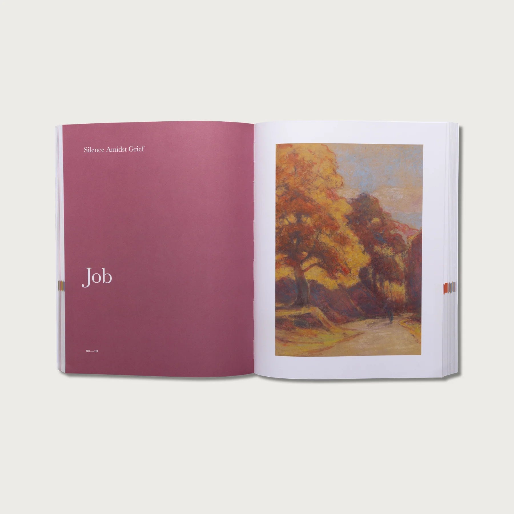 The Good and Beautiful Bible Study Volume 2 open to the Job chapter with a burgundy page and landscape painting