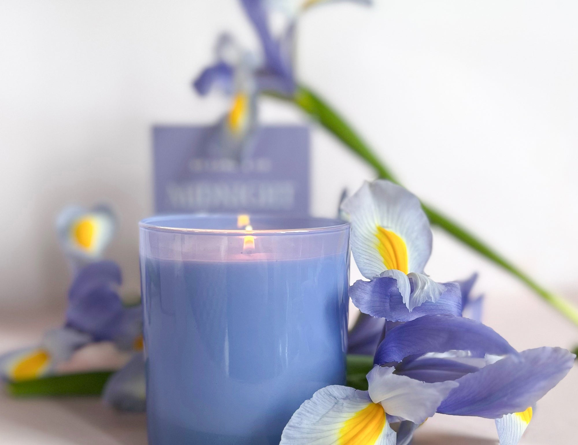 GP Candle Co Midnight 9oz Candle lit and surrounded by purple irises