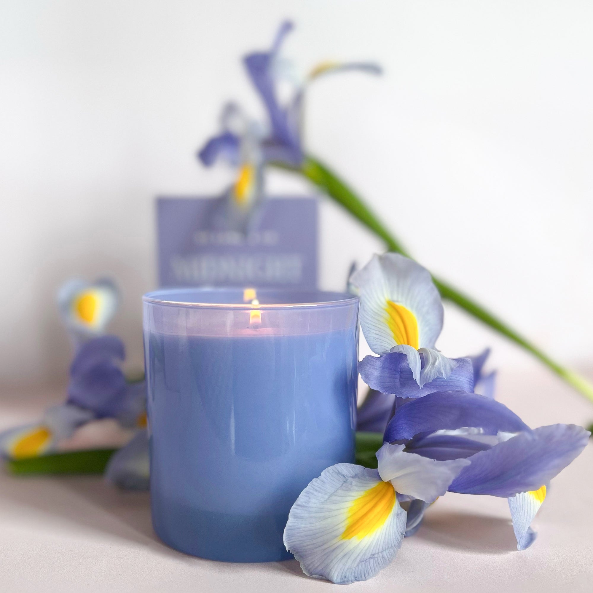 GP Candle Co Midnight 9oz Candle lit and surrounded by purple irises