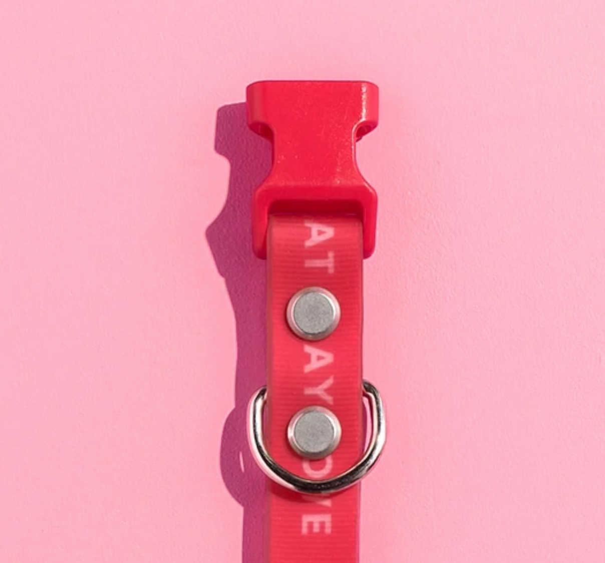 Gummi Slick Collar in hot pink, close-up of the waterproof strap, buckle and D-ring