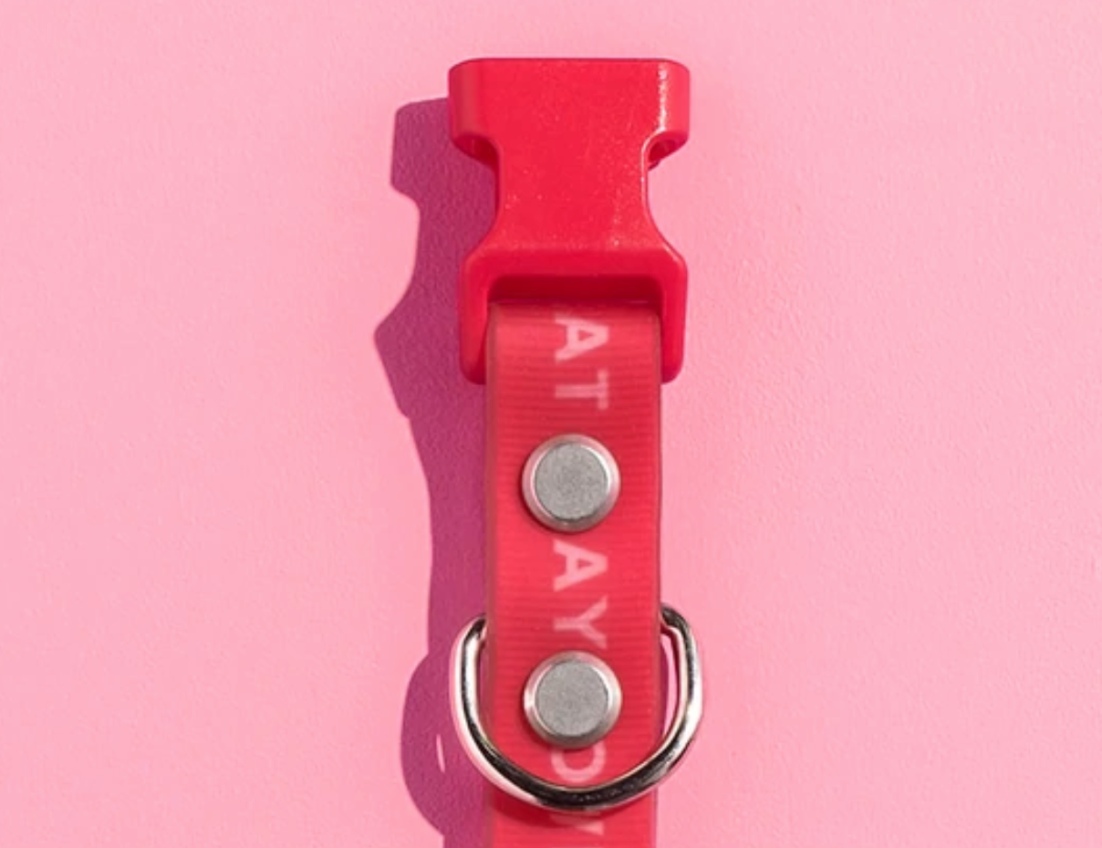 Gummi Slick Collar in hot pink, close-up of the waterproof strap, buckle and D-ring