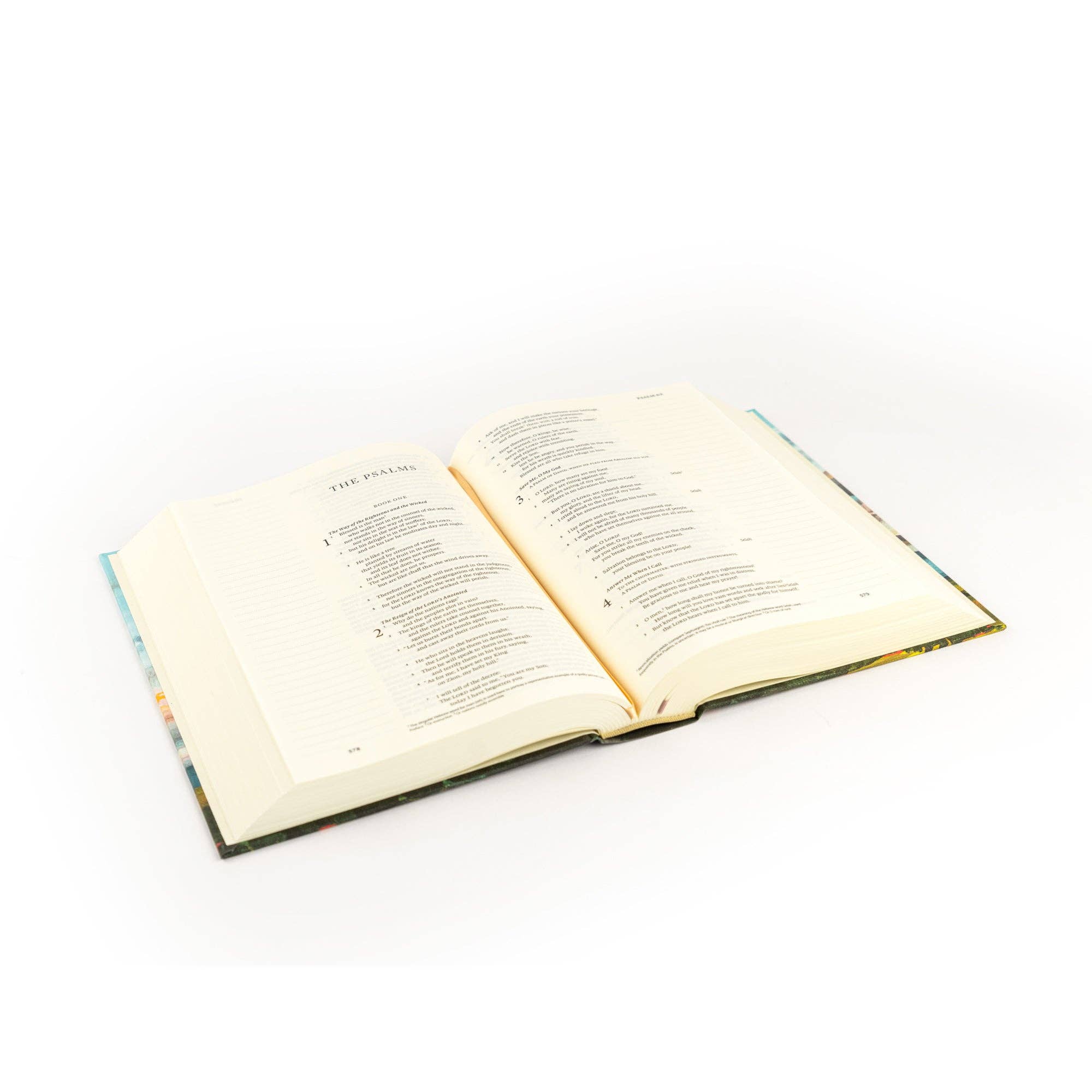 Hosanna Revival ESV Journaling Bible Santa Lucia theme lying open at an angle