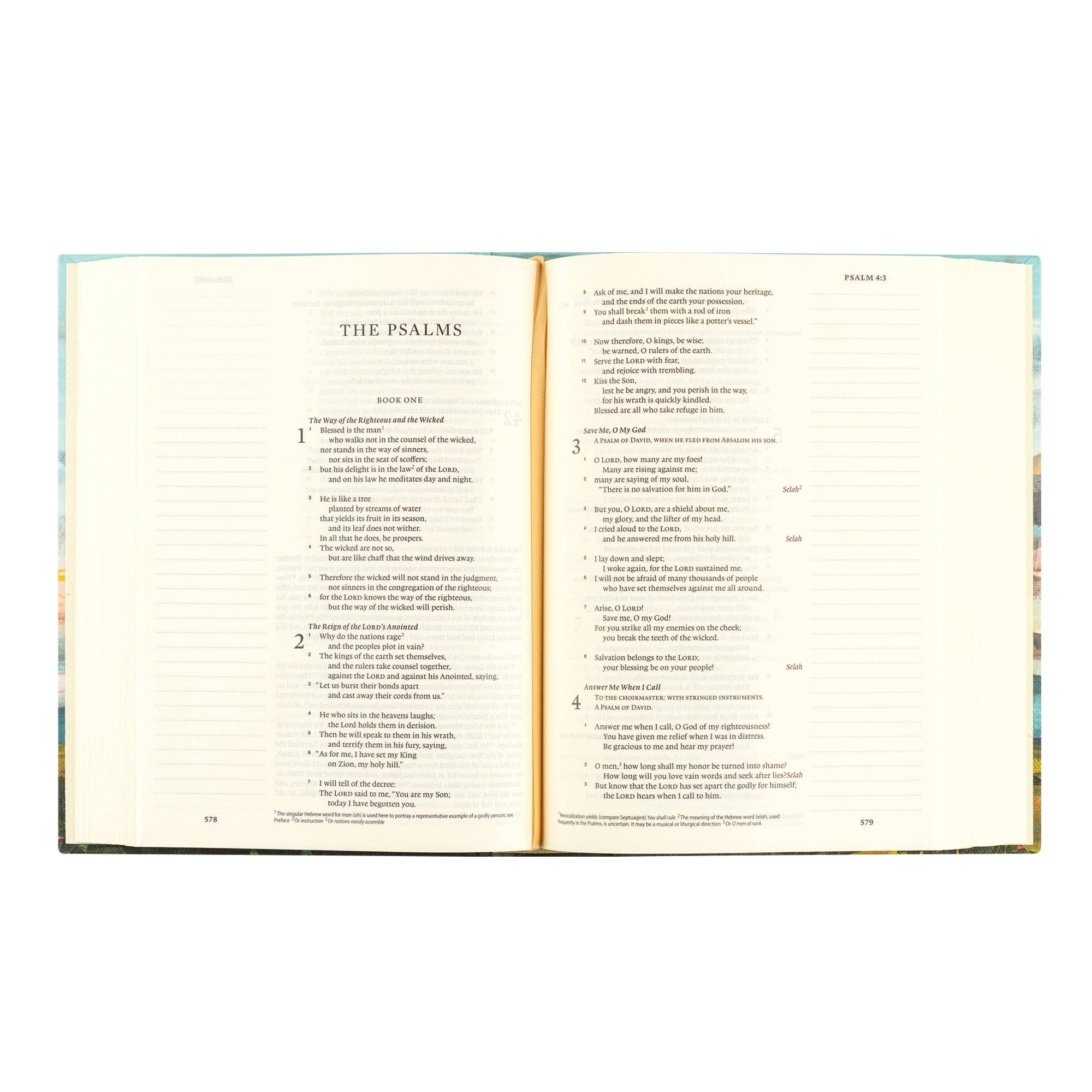 Hosanna Revival ESV Journaling Bible Santa Lucia theme open to The Psalms with wide journaling margins