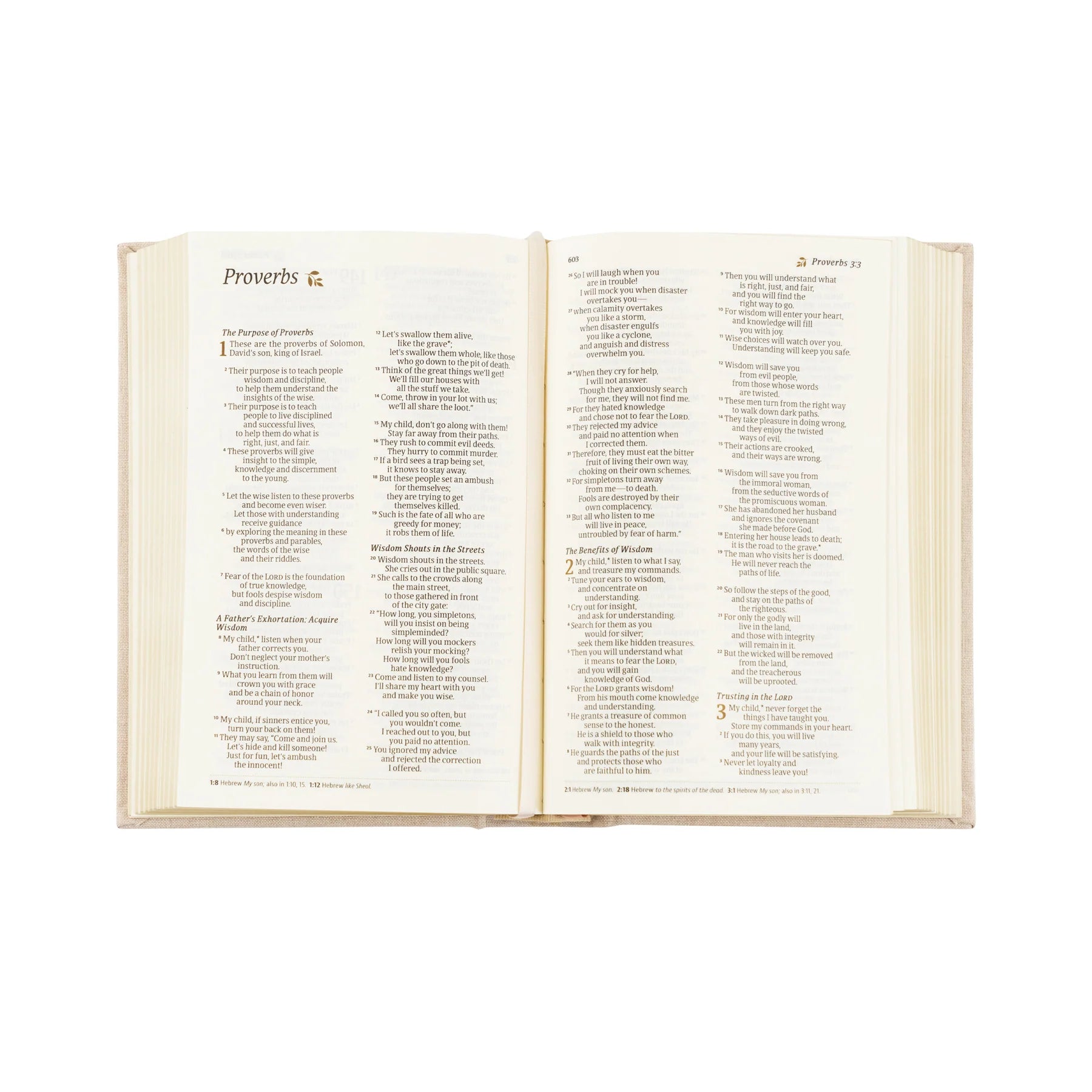 Hosanna Revival NLT Compact Bible Casablanca theme open to Proverbs