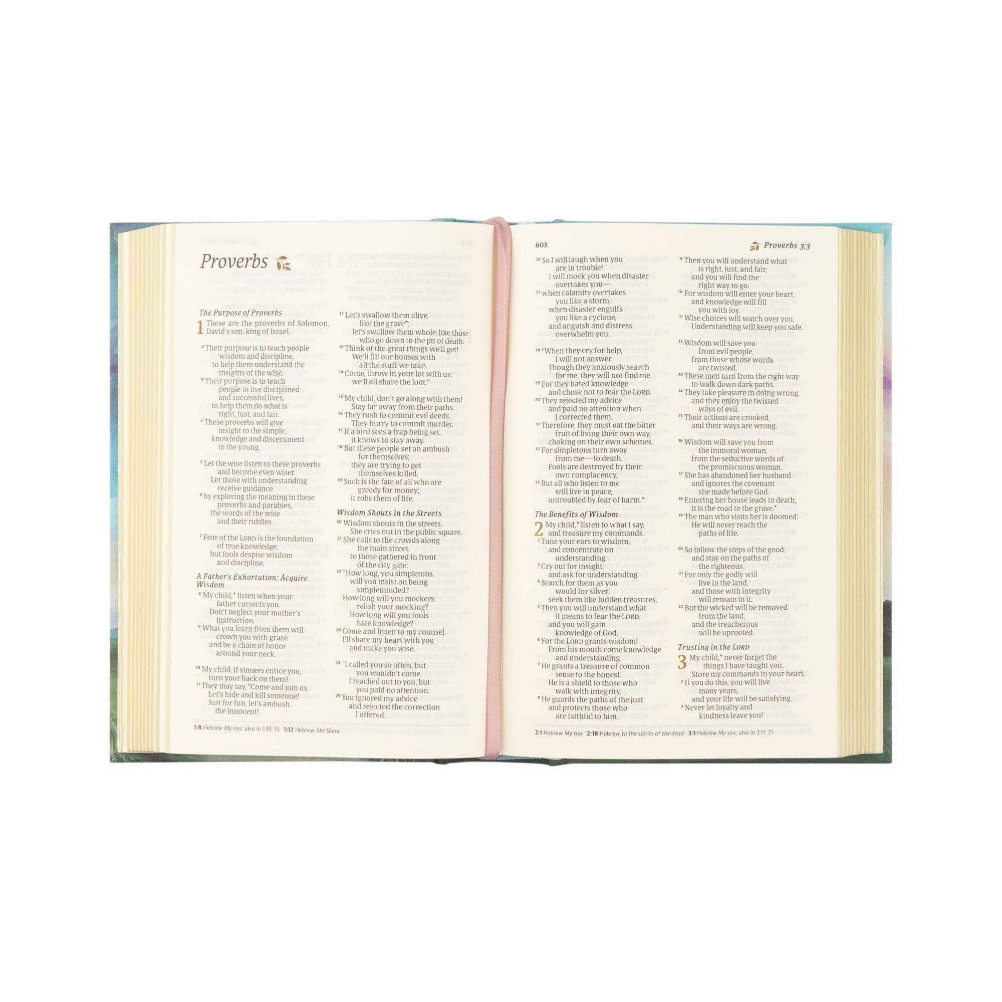 Hosanna Revival NLT Compact Bible Prairie theme open to Proverbs
