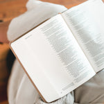 Person reading the Hosanna Revival NLT Notetaking Bible Galilee theme on a couch