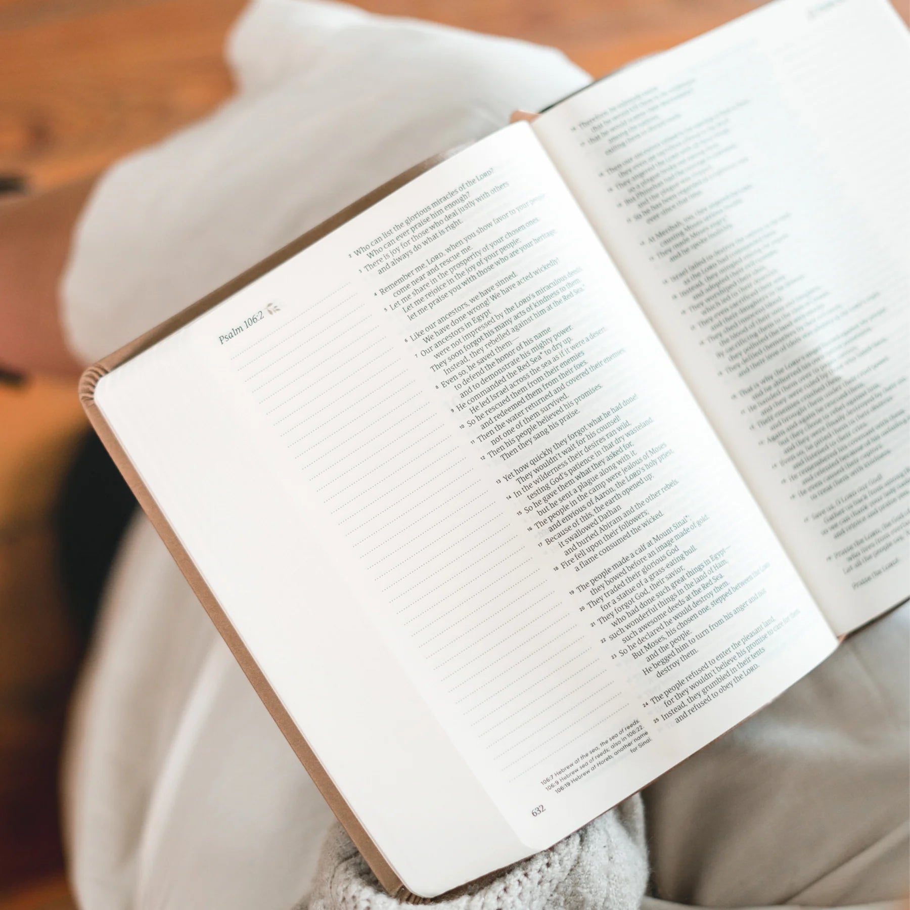 Person reading the Hosanna Revival NLT Notetaking Bible Galilee theme on a couch