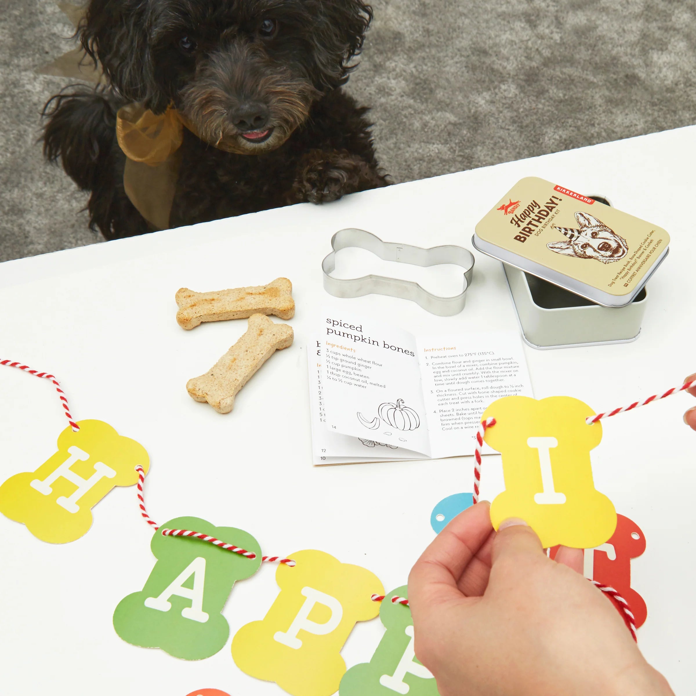Hands assembling the Kikkerland Dog Birthday Kit banner with a small black dog watching