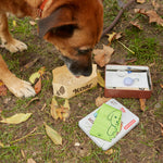 Brown dog sniffing the open Kikkerland Kobe Hiking Kit on the ground outdoors