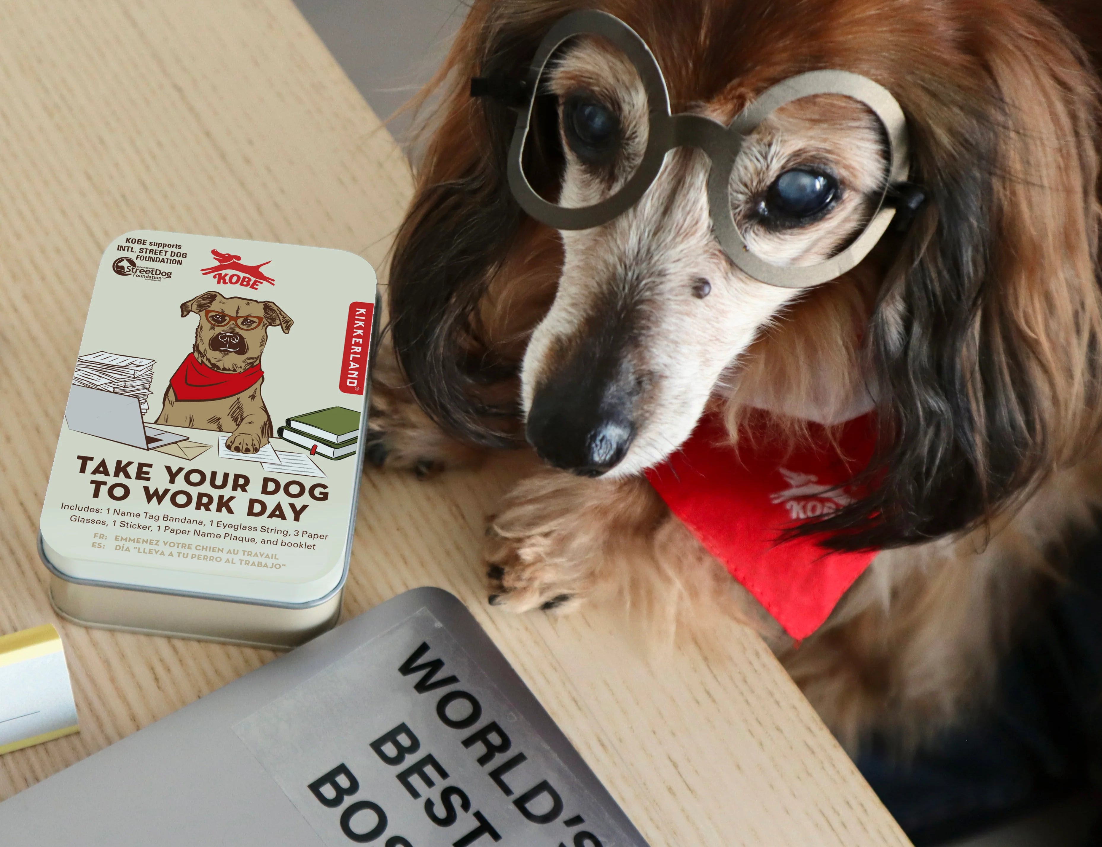 Dachshund wearing paper glasses and a red bandana from the Kikkerland Kobe Take Your Dog to Work Day kit