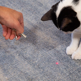 Hand pointing the Kikkerland Laser Pointer at a rug while a black and white cat chases the dot