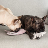 Lambwolf Collective Angel Fish Dog Toy in pink, a French bulldog sniffing for treats hidden inside