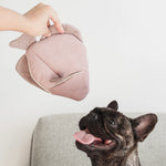 Lambwolf Collective Angel Fish Dog Toy in pink held above a brindle French bulldog looking up