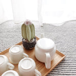Lambwolf Collective Cactus Dog Toy on a bed beside a wooden tray with white ceramic mugs