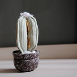 Lambwolf Collective Cactus Dog Toy with the cactus pieces separated from the knit pot
