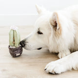 White fluffy dog sniffing the Lambwolf Collective Cactus Dog Toy on a wood floor